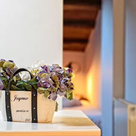 Apartment Con Encanto En