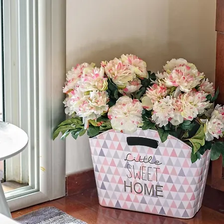 Apartment Con Encanto En